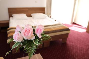 Фото номера Двухместный номер с 2 отдельными кроватями Отель Hotel DYMINY г. Кельце 5